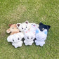 Enhypen Member Animal Plushie
