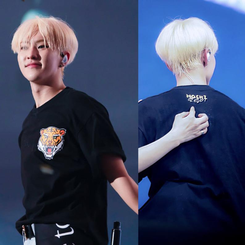 Seventeen Ode To You World Tour Concert T-Shirt